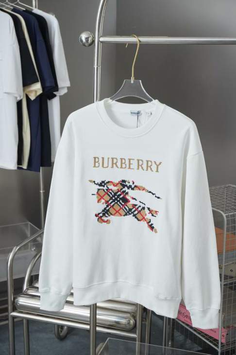 Picture of Burberry Sweatshirt _SKUBurberryS-XLxetr22331068